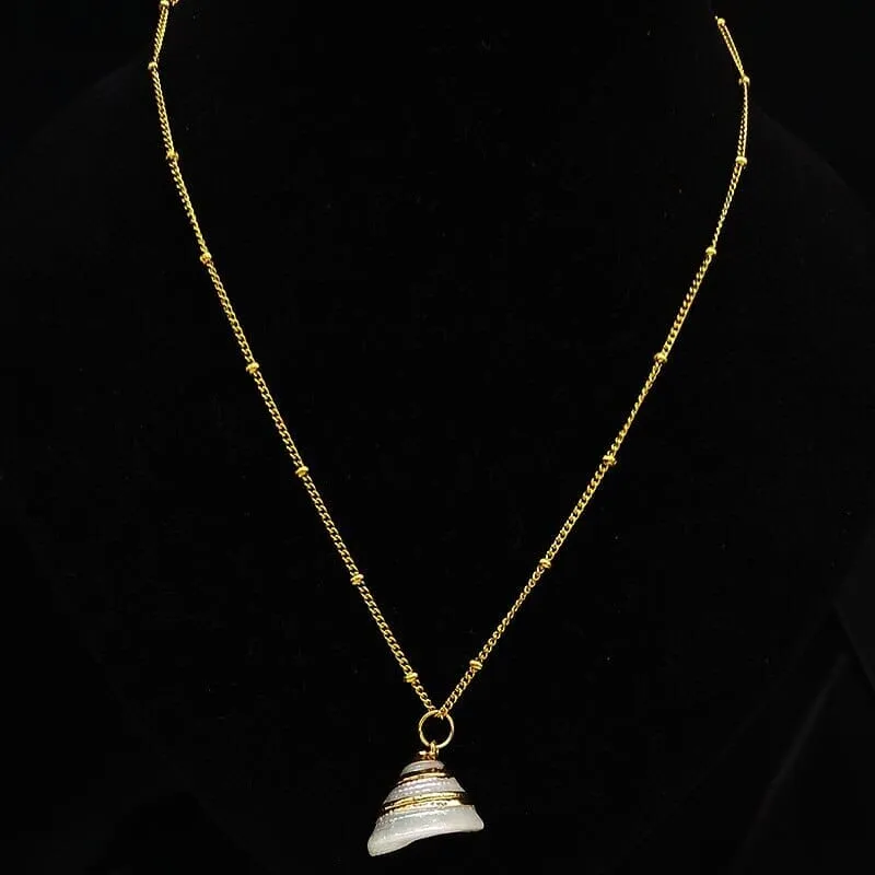 2022 Fashion Stainless Steel Shell Necklaces for Women Gold Color Necklaces & Pendants Jewelry colier femme N19079