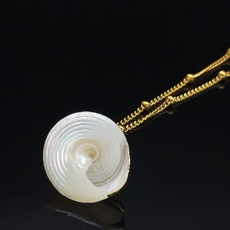 2022 Fashion Stainless Steel Shell Necklaces for Women Gold Color Necklaces & Pendants Jewelry colier femme N19079