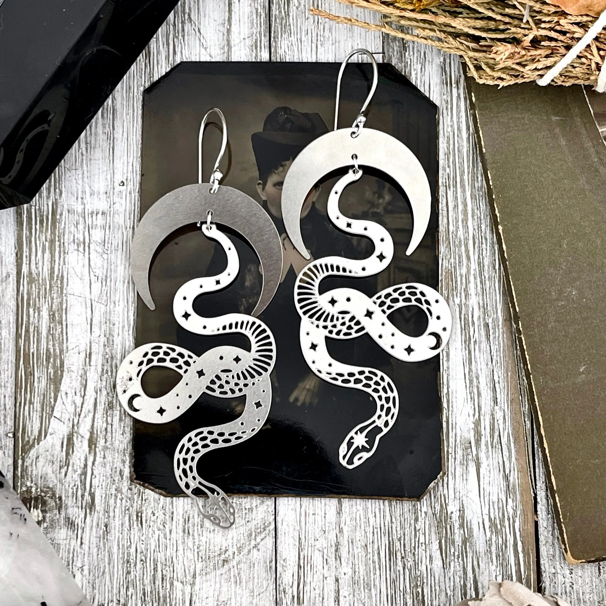 Snake and Moon Earrings Sterling Silver & Stainless Steel Earrings/ Moon Earrings