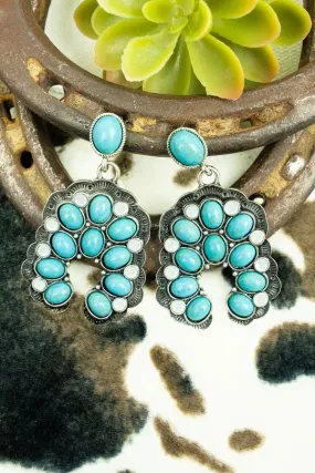 Southwest Earrings